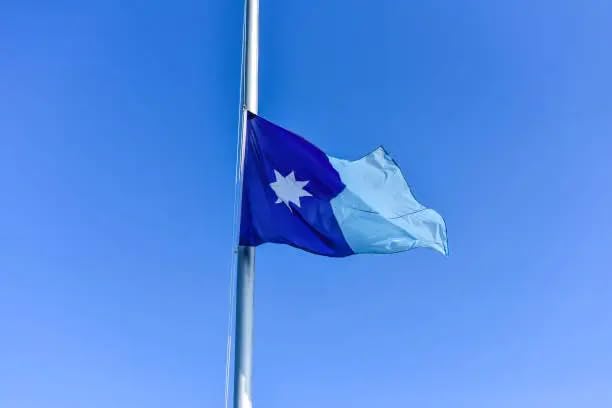 TOPFLAGS New Minnesota State Flag 3x5 Ft 210D MN Flags Heavy Duty Longest Lasting Sewn Stripes Embroidered Star Stronger Brass Grommets 4 Stitched Hemming Outdoor Vivid Color Fade Resistant Perfect for Outside