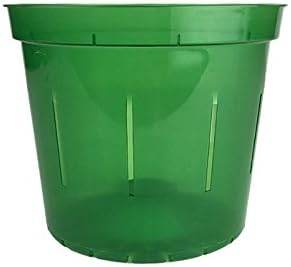 rePotme Slotted Clear Orchid Pots Growers Assortment (8 pots - 2 Each, Green Emerald)
