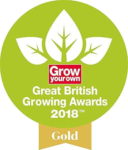 Spear & Jackson 4450DS Traditional Stainless Steel Digging Spade, 1-Pack, Multicolored