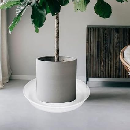 6 Pack Plant Saucer Tray, 4 5 6 8 10 12 13 15 17 19 inch Plant Saucers, Heavy Duty Plastic Plant Drip Trays for Indoors, Flower Plant Water Tray, Plant Trays for Pots Base (6 inch, Clear)