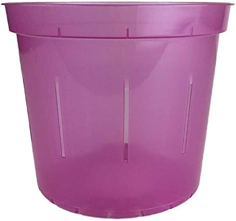 rePotme Slotted Clear Orchid Pots Growers Assortment (8 pots - 2 Each, Rose Quartz)