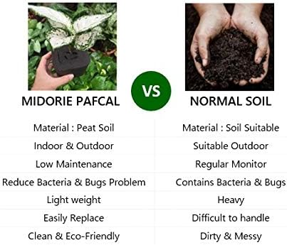 PAFCAL Chips for Indoor and Outdoor | Sponge for Plants | Garden Wall Decoration | Vegetable Growing Kit | Organic Sponge for Plants Landscape and Nursery Pots | Soil Replacement | 0.5kg (Pafcal 500)