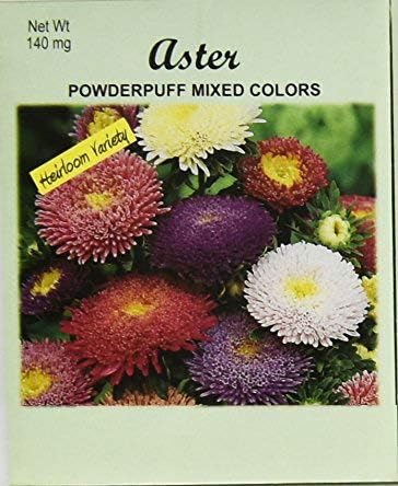 Set of 50 Flower Seed Packets! Flower Seeds in Bulk (50, Aster Powerderpuff)