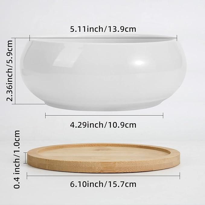 ZOUTOG 2 Pack Succulent Pots, 6 inch Ceramic Planters for Indoor Plants with Bamboo Tray, Pots with Drainage, Seeds& Plants Not Included