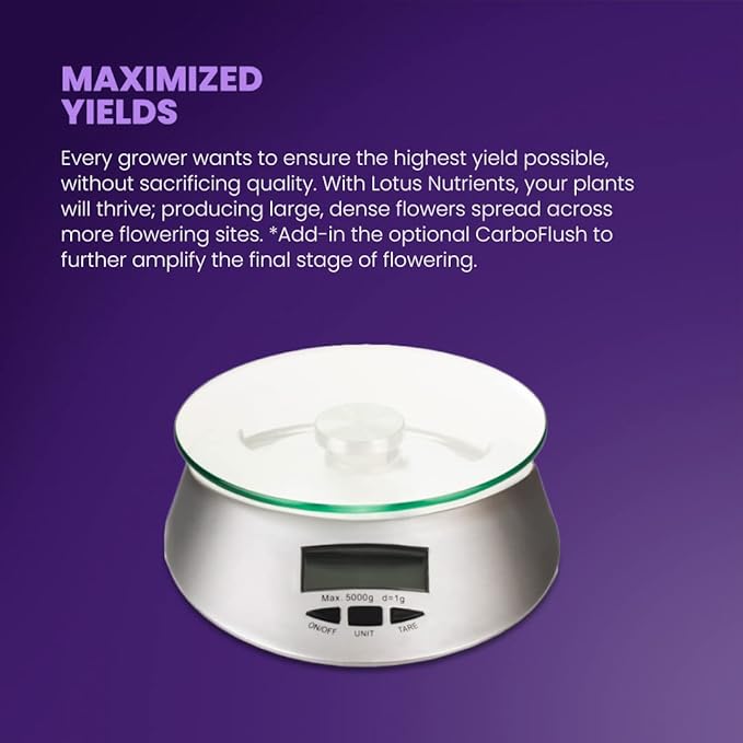 256oz Complete Veg Nutrient for Fast Healthy Growth and Massive Roots - Naturally Derived Water Soluble Premium Powdered Nutrient Fertilizer for Soil, Hydroponic, and Coco Coir Indoor and Outdoor