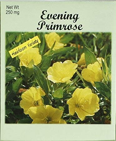 Set of 50 Flower Seed Packets! Flower Seeds in Bulk (50, Evening Primrose)