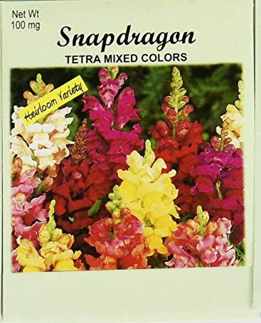 Set of 100 Flower Seed Packets! Flower Seeds in Bulk (100, Snapdragon)