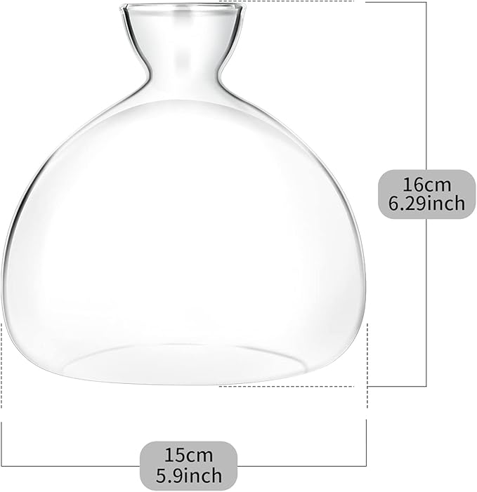 Avocado Seed Starter Planter Vase Pot Avocado Tree Growing Kit Glass Vases Grow Avocado Trees at Home Avocado Tree Growing Kit Unusual Gardening Gifts