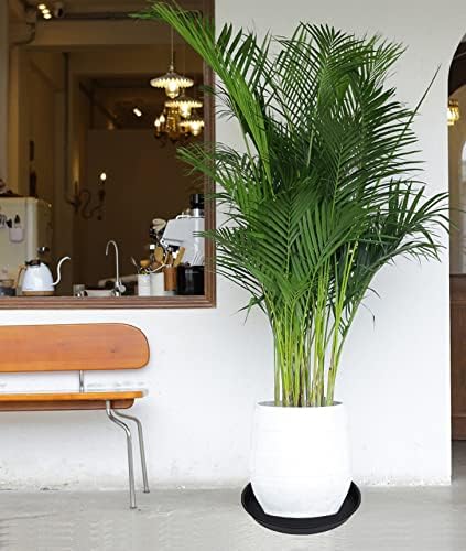 2 Pack of 14 inch Plant Saucer, Heavy Duty Round Plant Trays for Pots, Plastic Plant Water Tray, Flower Plant Saucers for Indoors, Pot Drip Trays for Planter 12-14" (14", Black)