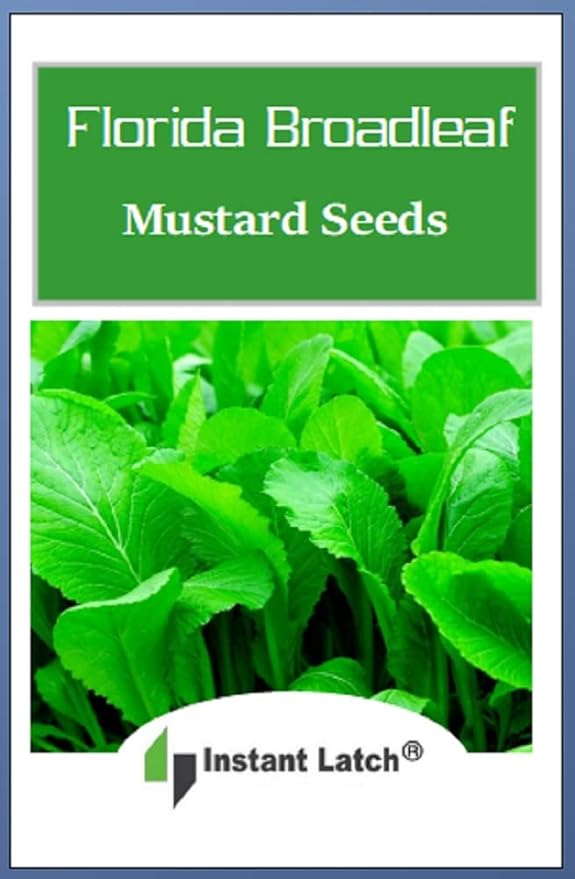 500 Florida Broadleaf Mustard Seeds | Non-GMO | Heirloom | Instant Latch Garden Seeds