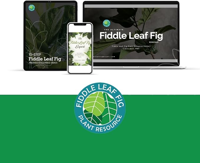 Fiddle Leaf Fig Potting Soil Mix by Fiddle Leaf Fig Plant Resource | Premium Organic Soil with Enhanced Drainage for Fast Growth and Healthy Roots (Large Bag)