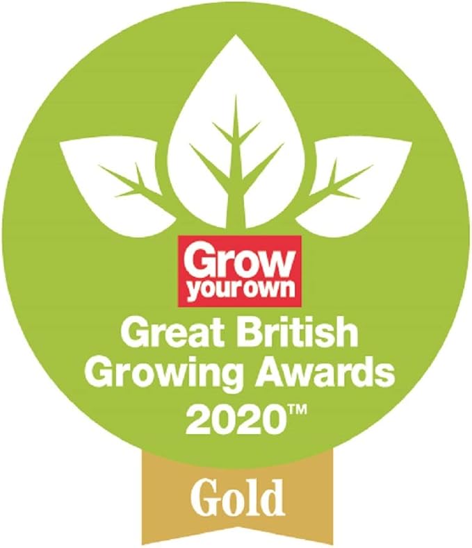 Spear & Jackson 4860SW Traditional English Style Stainless Steel Angled/Swoe Hoe - for Cutting Roots