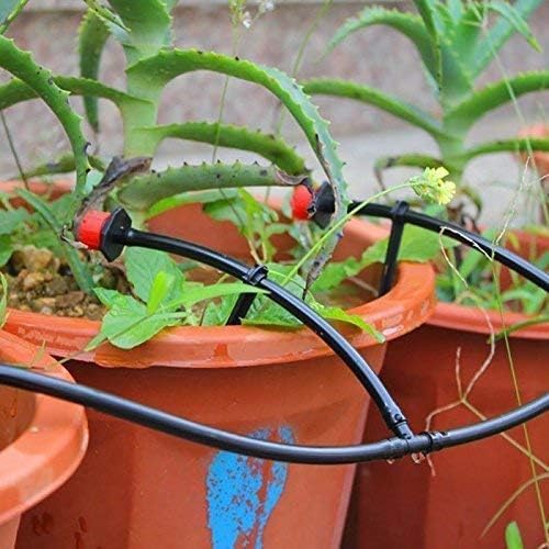 Kalolary 100PCS 1/4" Universal Barbed Tee Fittings, 1/4 Inch Barbed Tee Connectors Drip Irrigation Fittings for 4mm/7mm Water Tube Parts Drip Irrigation Hose Connector Watering System