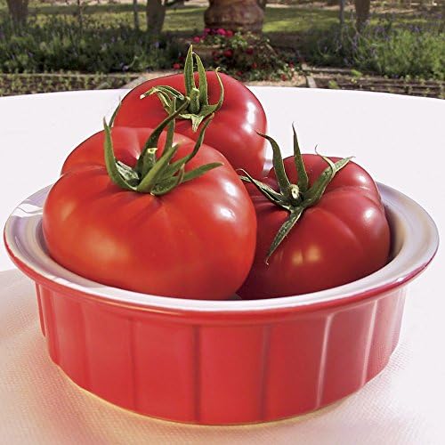 Park Seed Variety of Tomato Vegetable Seeds, Plant Seeds, Easy to Grow, Perfect for Harvesting, Mater Sandwich Hybrid Organic, Pack of 20