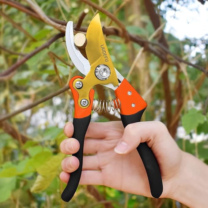 Garden Shears, Pruning Shears for Gardening Heavy Duty with Rust Proof Stainless Steel Blades, Garden Clippers Best Hand Pruners Ergonomic Gardening Tools (MJ-2)