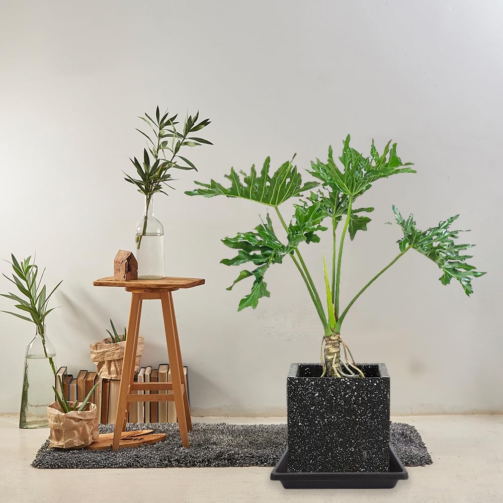 Square Plant Saucer 10 Inch 2 Pack 6 8 12 14 16 18 20 inch, Plant Drip Trays and Flower Pot Saucers, Plant Trays for Indoors No Holes, Plant Drainage Tray Saucers for Potted Plants