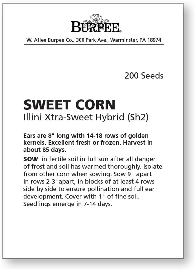 Burpee Illini Xtra Sweet Sweet Corn Seeds 200 seeds