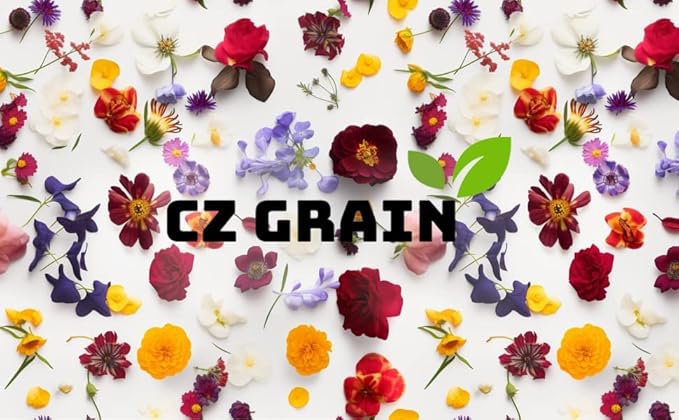 Holy Cross Shamrock Bulbs for Planting (10 Bulbs) - Fast Growing Year Round Color Indoors or Outdoors - Oxalis Bulbs