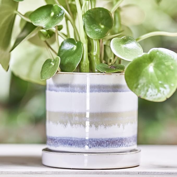 CHIVE ‘Minute’ Ceramic Planter Pot — Cute 5” Colorful Succulent Pots for Indoor & Outdoor House Plants — Beautiful Modern Farmhouse Kitchen Decor — Blue Green Layers