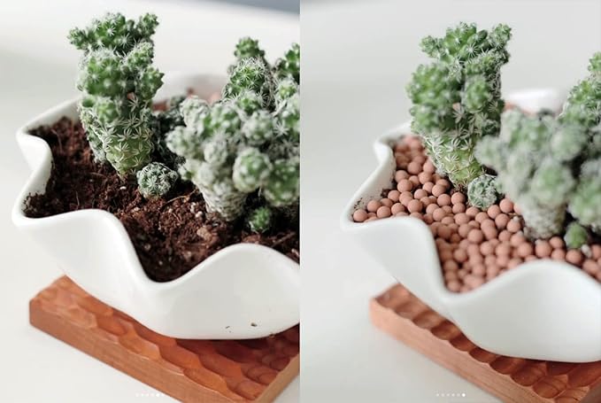 HOT SEAL 1.9 LB Clay Pebbles, 1/8'' Gardening Ceramsites Growing Media for Succulents Orchids, Aquaponics, Aquaculture Hydroponics. Ceramsite Clay Rocks Decor Cultivation, Leca for Plants