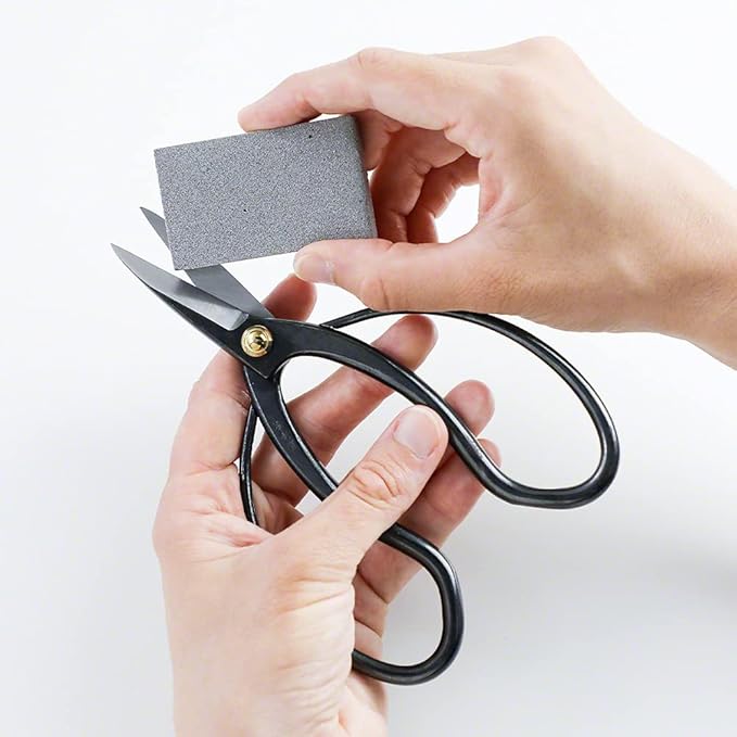 Wazakura Japanese Sap Rust Eraser for Blades, Garden Scissors, Bonsai Tools, Floral Hasami Shears, Made in Japan - Sap Eraser