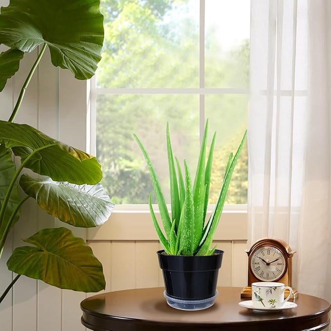 12 Pack Plant Pots, 8 Inch Plant Planter with Clear Saucer, Plastic Pots for Plants Indoor and Out Door Such as Strawberry, Herb and Flowers (Black)