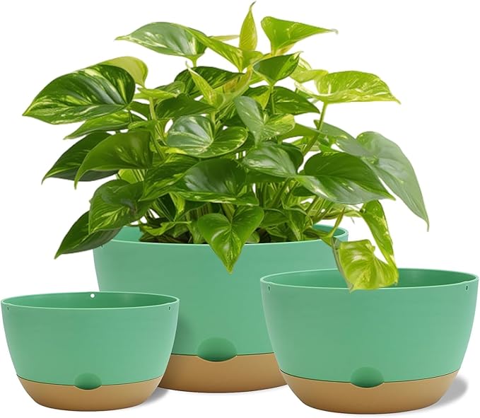12 Inch Pots for Indoor Plants, Large Self Watering Planters with Drainage and Saucers, Plastic Outdoor Flower Pot, Set of 2, Green
