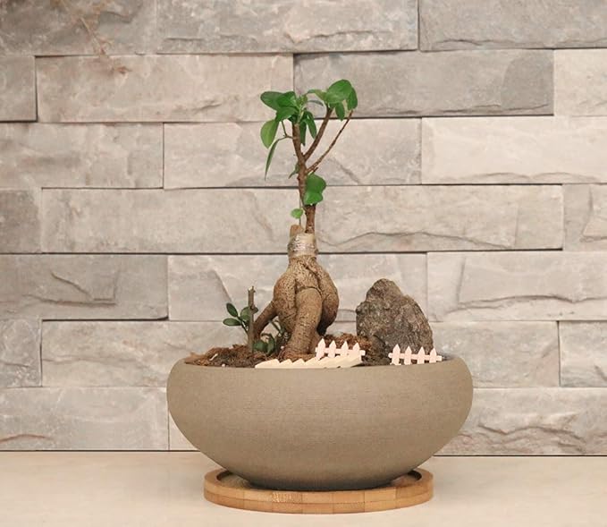 MUZHI Round Unglazed Ceramic Bonsai Pot with Bamboo Tray, Large Rough Pottery Succulent Planter with Drainage Hole 8 inch …