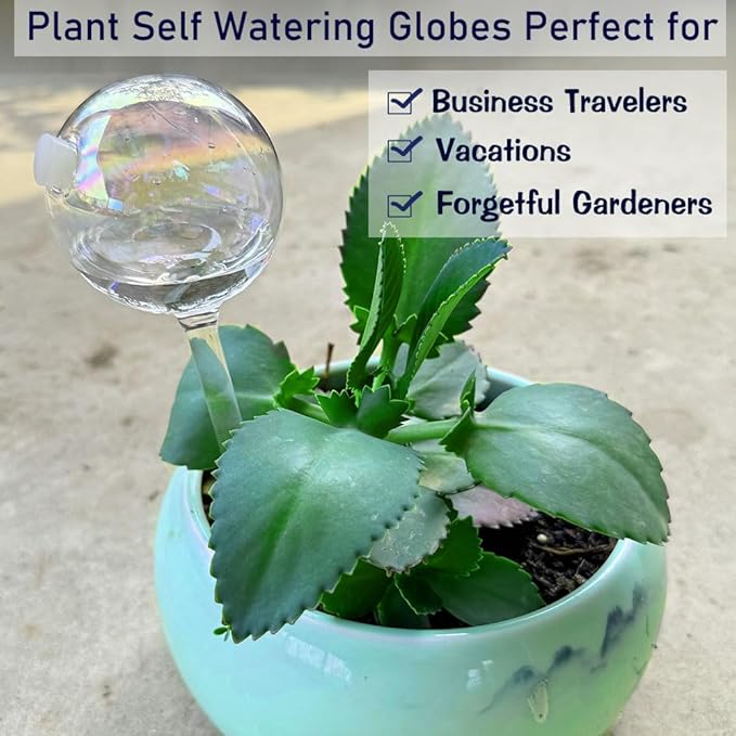 Clear Rainbow Glass Plant Automatic Watering Bulb, 4pcs Garden Flower Self Watering Planter Inserts, Automatic Plant Waterer System Set Self Watering Spikes to Support Plant Health