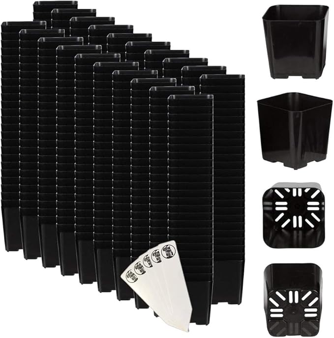 The Hydroponic City Black Square Flower Nursery Pots for Starting Seedlings, Succulents, or Cacti - 2" x 2", Pack of 500 + 5 THCity Stakes