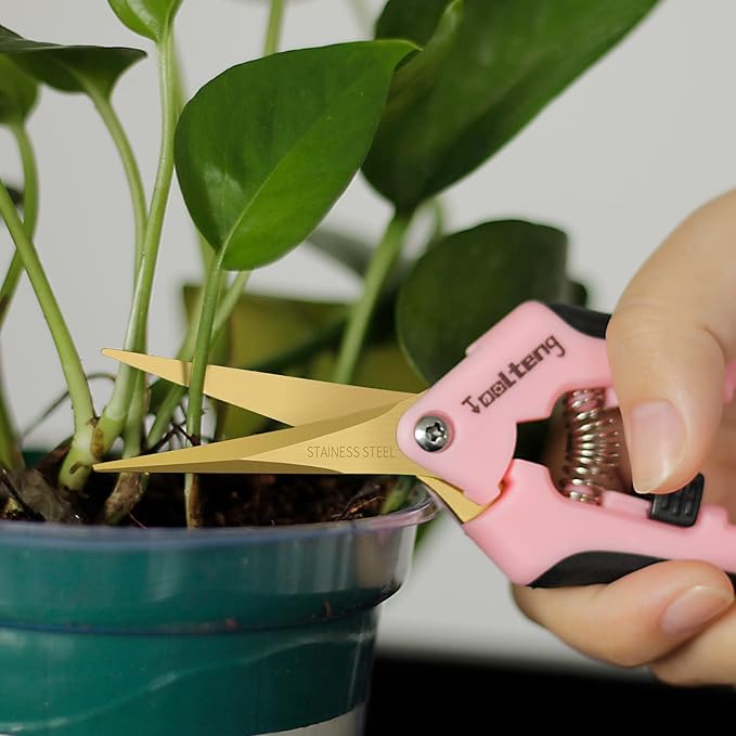6 Packs Pruning Shears with Curved Blades, Garden Trimming Scissors, Gardening Hand Pruning Snips Titanium Coated Precision Bonsai Pruning Shears, Efficient Flower Cutters (Pink)
