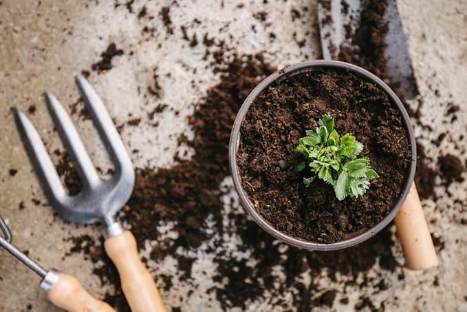 Premium Celery Potting Soil Mix - Optimal Nutrient-Rich Blend for Thriving and Crisp Celery Plants - 5 Quart