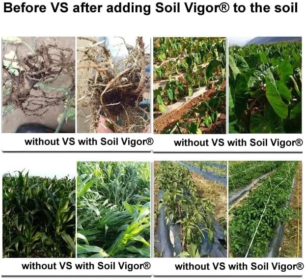 Small Granular Water Crystal for Grow Firm and Smooth Lawn and Keep Garden Plants Thriving (5 Pound)