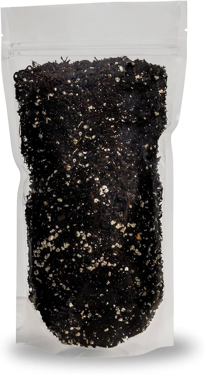 Pure Hard Akadama for Bonsai/Succulent Soil - (3mm-6mm) Small Grain for Cactus, Bonsai Plants Soil Amendment, Prevent Over Water, Provides Optimal Water Retention, Fast Drainage (1 Quart)