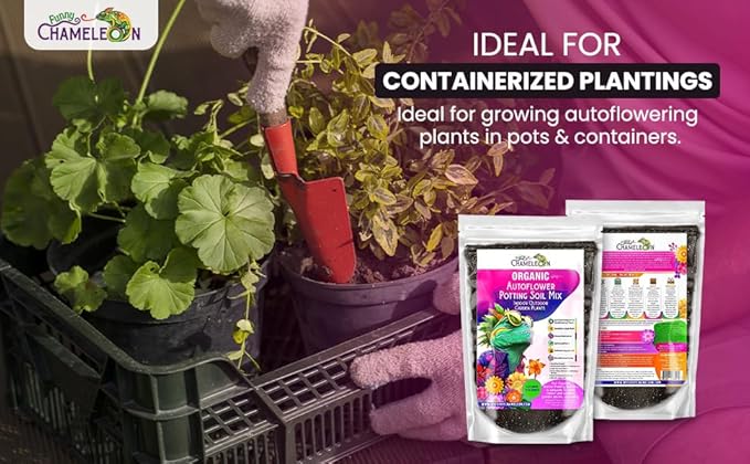 Organic Autoflower Potting Soil Mix โ Ready-to-Use Living Soil, No Fertilizers Needed โ Balanced Nutrients, Light Texture, Excellent Drainage, Boosts Germination & Root Growth (5 quarts)