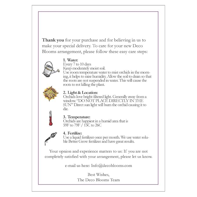 DecoBlooms Living Blue Orchid Plant - 5 inch Blooms - Fresh Flowering Home Décor