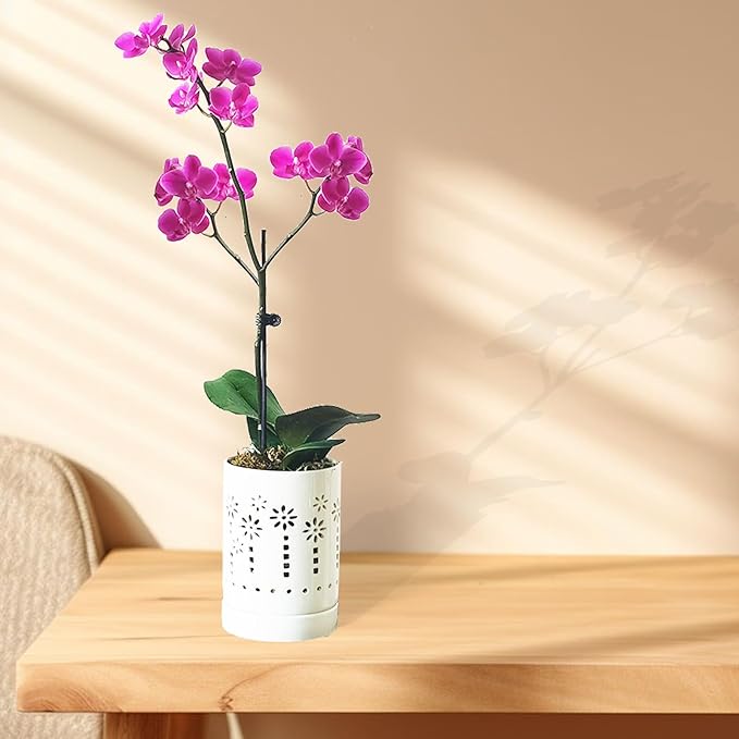 Orchid Pots with Holes,4 Inch Ceramic Orchid Pot for Repotting, Plant Pot for Repotting Orchids and Other Flowers - Indoor/Outdoor White