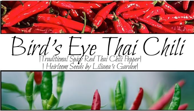“Bird's Eye” Thai Hot Pepper Seeds – Traditional Thai Bird's Chili Pepper – Harvest Small, Red, Spicy Peppers in 75 Days | Compact Plants | Always OP | USA Grown Heirloom Seeds by Liliana's Garden |