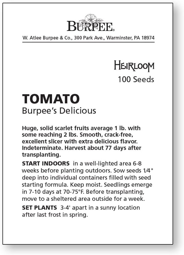 Burpee Straight Eight Slicing Cucumber 200 Seeds & 'Delicious' Beefsteak Slicing 1-2lbs Tomato 100 Seeds Bundle