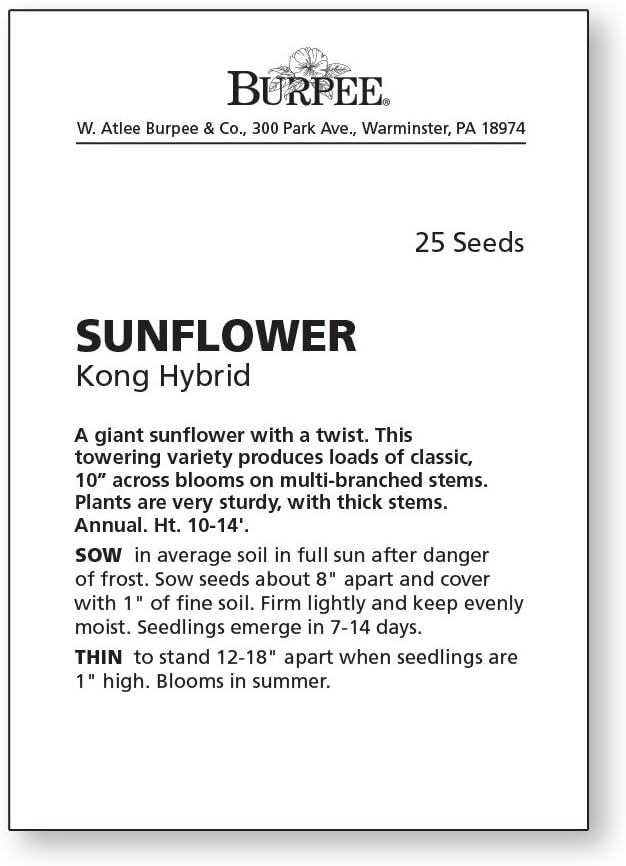Burpee Kong Hybrid Sunflower Seeds 25 seeds