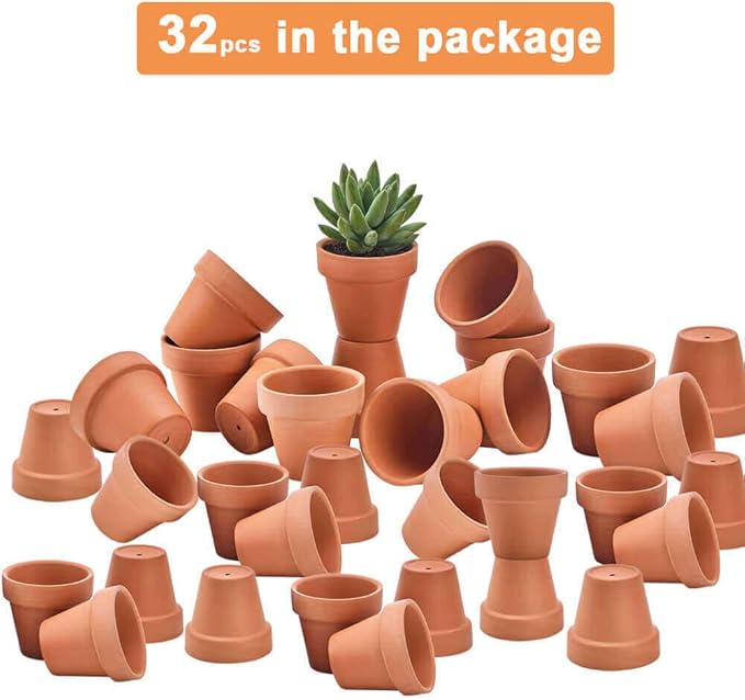 Riseuvo 32pcs 2" Small Mini Terracotta & Clay Pot Planter - Cactus Flower Nursery Terra Cotta Pots with Drainage, Perfect for Indoor/Outdoor Plants, Crafts