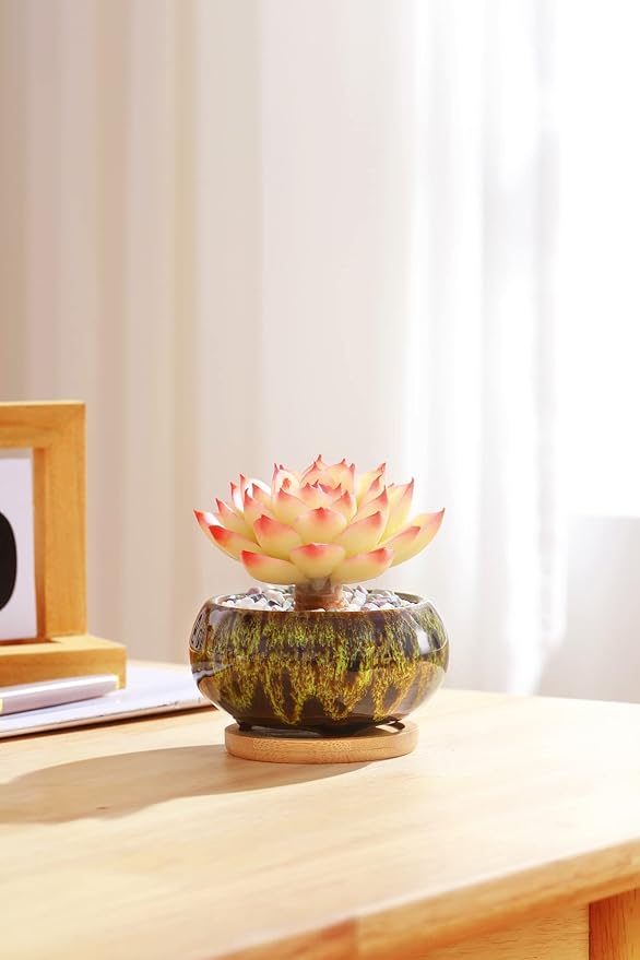 Cute Ceramic Succulent Garden Pots, Planter with Drainage and Attached Saucer, Set of 5 -Plants Not Included (Vivid Colors)
