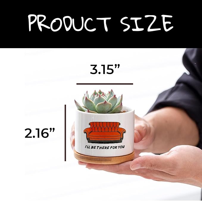 Friends TV Show Merchandise Gifts, 3 Pack Ceramic Succulent Pots, Vintage Style Patterns, 3.15 inch Succulent Planter Pots with Drainage Hole and Bamboo Saucer for Home Decor
