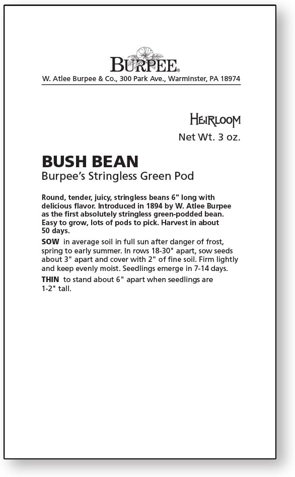 Burpee Stringless Green Pod Bush Bean Seeds 4 ounces of seed