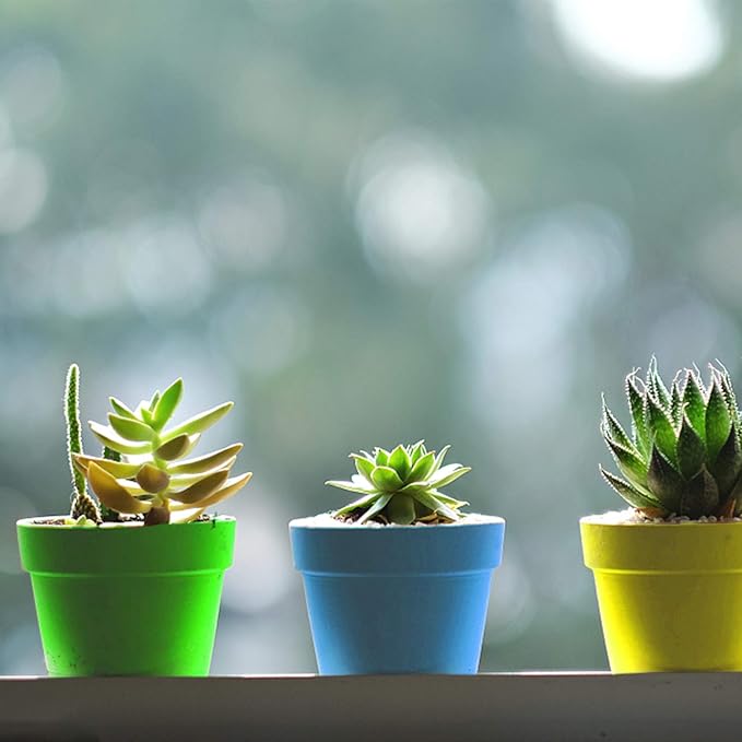 25 Packs Cupcake Plant Nursery Pots with Humidity Dome-Small Flower Pots for Kids-Planting Containers Cups for Indoor Outdoor Plant Succulent Display (Mixed Color)