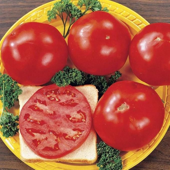 Park Seed Variety of Tomato Vegetable Seeds, Plant Seeds, Easy to Grow, Perfect for Harvesting, Celebrity Hybrid, Pack of 1000
