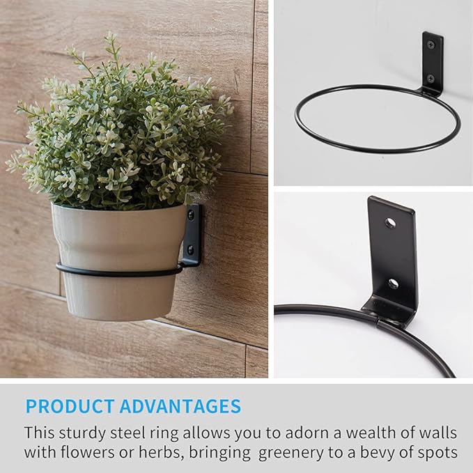 Plant Holder Ring 8 Inch Wall Mounted, 6 Pack Flower Pot Hangers Metal Plant Stand Hanging Bracket Basket Hooks