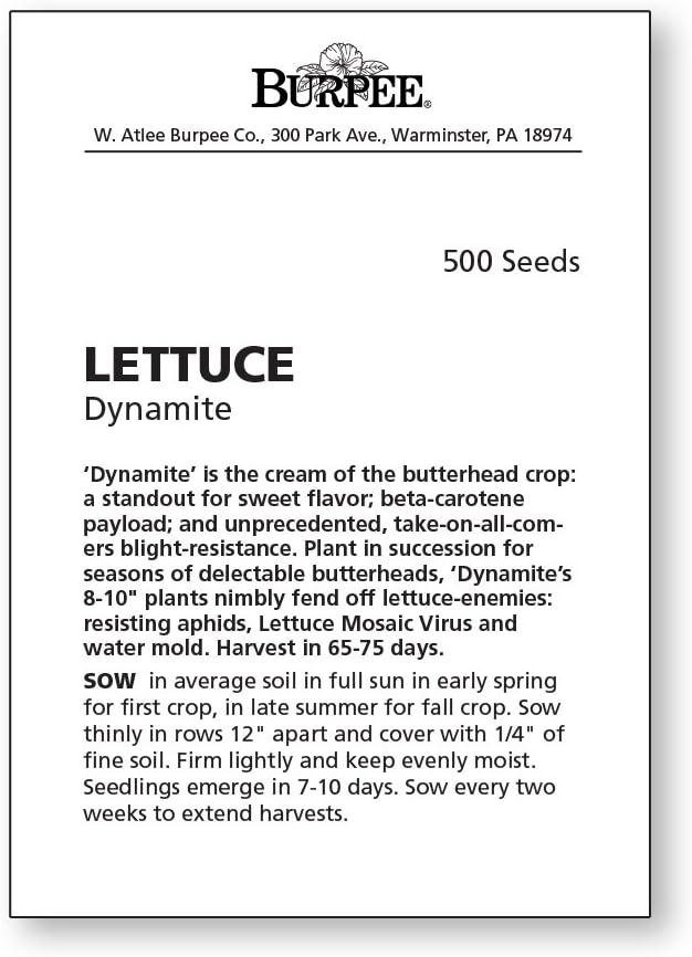 Burpee Dynamite Lettuce Seeds 500 seeds