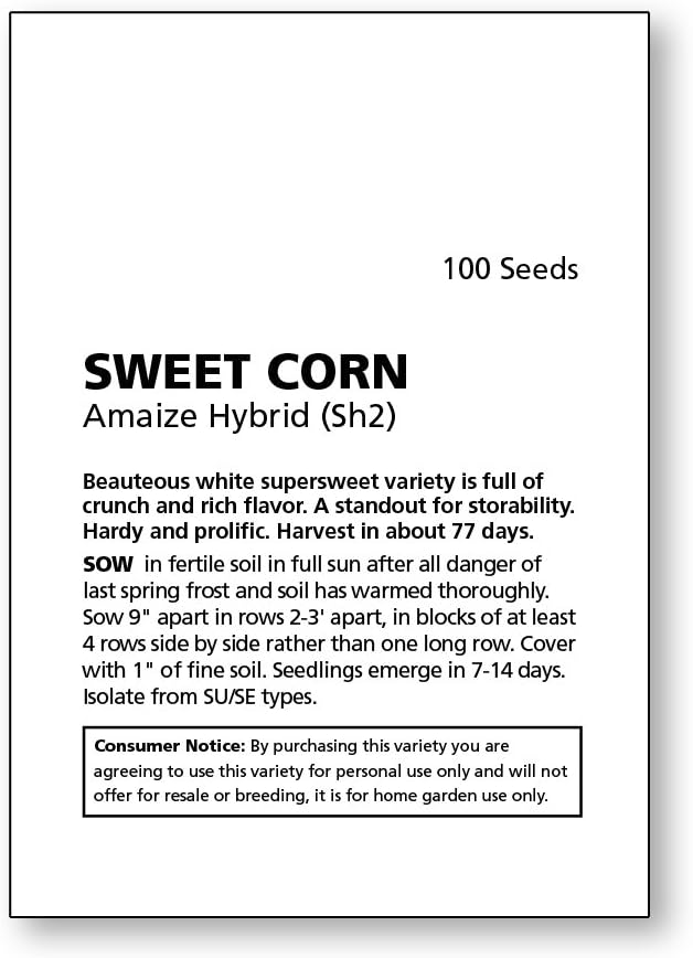 Burpee Amaize Hybrid (Sh2) Sweet Corn Seeds 150 seeds