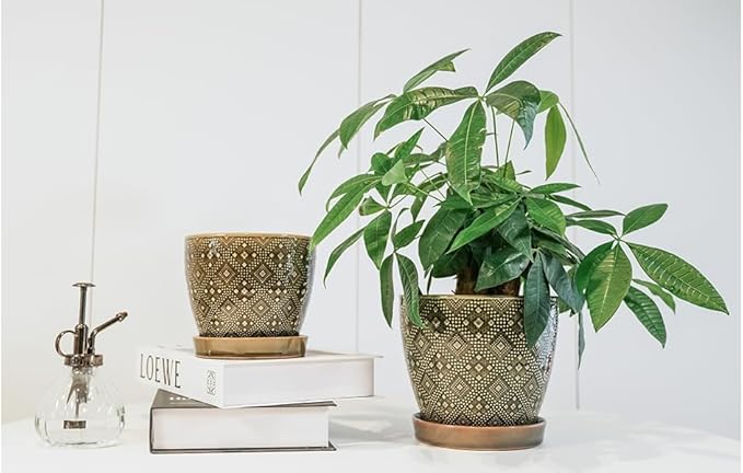 Docrin Ceramic Plant Pots Indoor: 6.6 + 5.5 Inch Planters with Drainage Holes and Saucer for Home/Office - Set of 2 /Dark Green